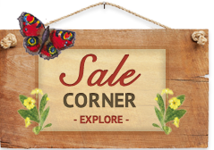 Sale Corner - Explore