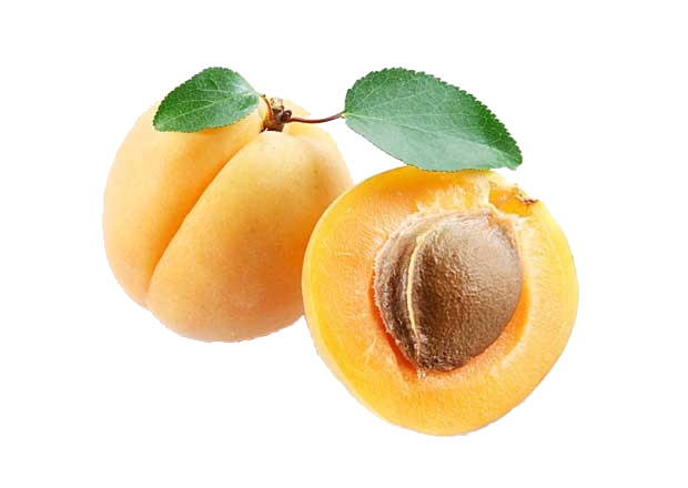 apricot-.png