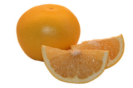 grapefruit.png