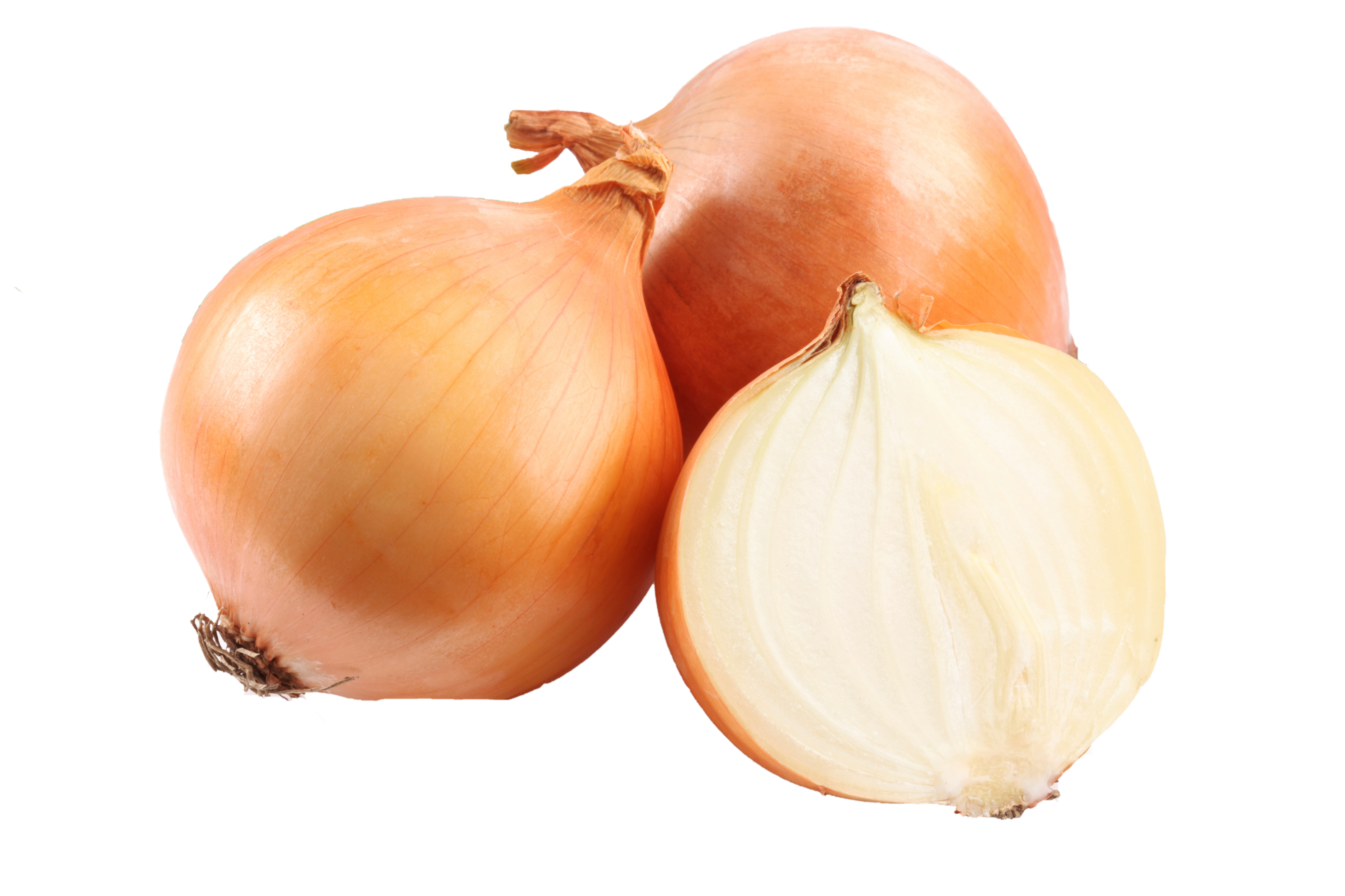 onion.png