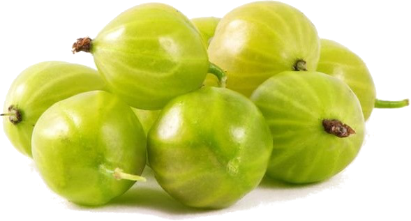 triphala.png