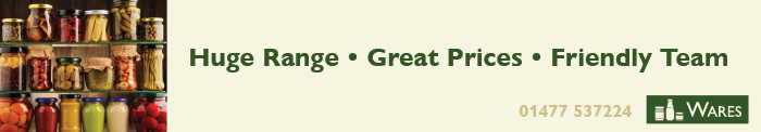 web-banner-basic.png