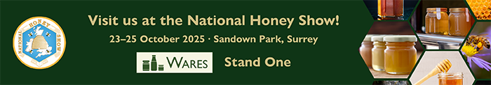 web-banner-low.png